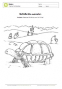 Arbeitsblatt: Ausmalbild Schildkröte