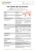 Arbeitsblatt: Infotabelle Schwein
