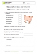 Klassenarbeit Schweine