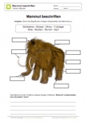 Arbeitsblatt: Mammut beschriften