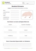 Schweine Kostenlose Arbeitsblatter