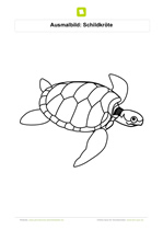 Ausmalbild Schildkröte